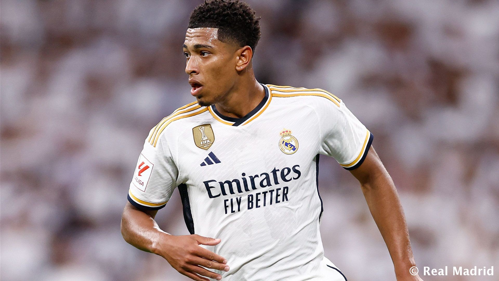 足球世界杯预选赛最新赛事日程（世界杯预选赛最新赛程一览）